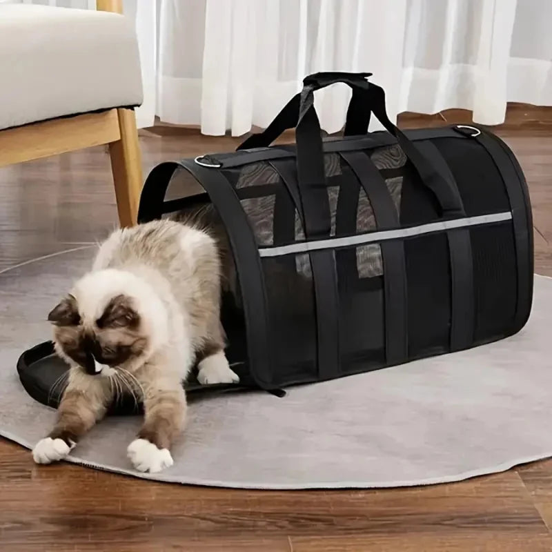 porte Animaux de  Compagnie 